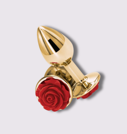 Aluminum Alloy Anal Plugs Se - MyNatury