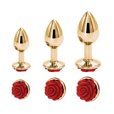 Aluminum Alloy Anal Plugs Se - MyNatury